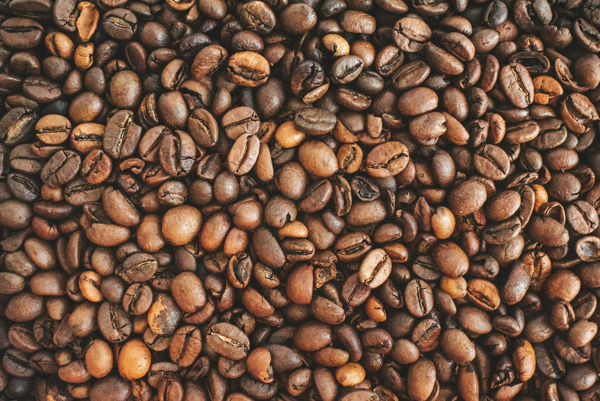 Close-up of roasted Dancing Ox coffee beans